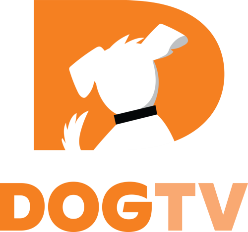 DOGTV coupon codes